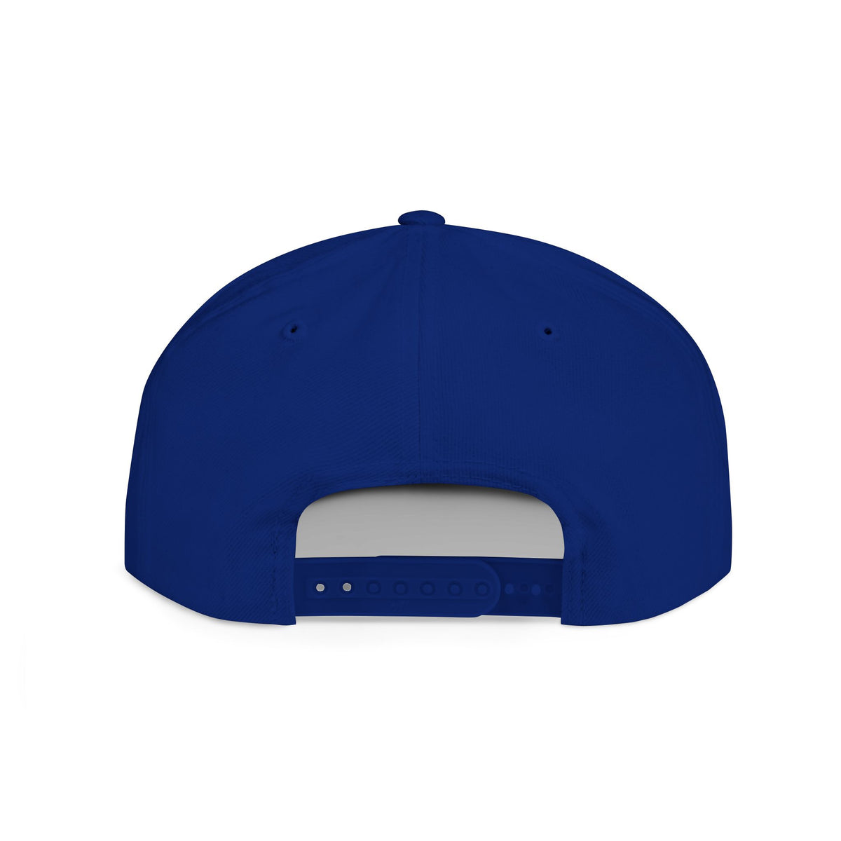 Lions Basketball Flat Bill Snapback Hat White Lettering — Distressed Team Logo Cap