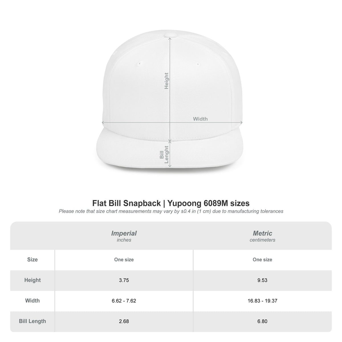 Lions Basketball Flat Bill Snapback Hat Blue Lettering — Team Logo Cap