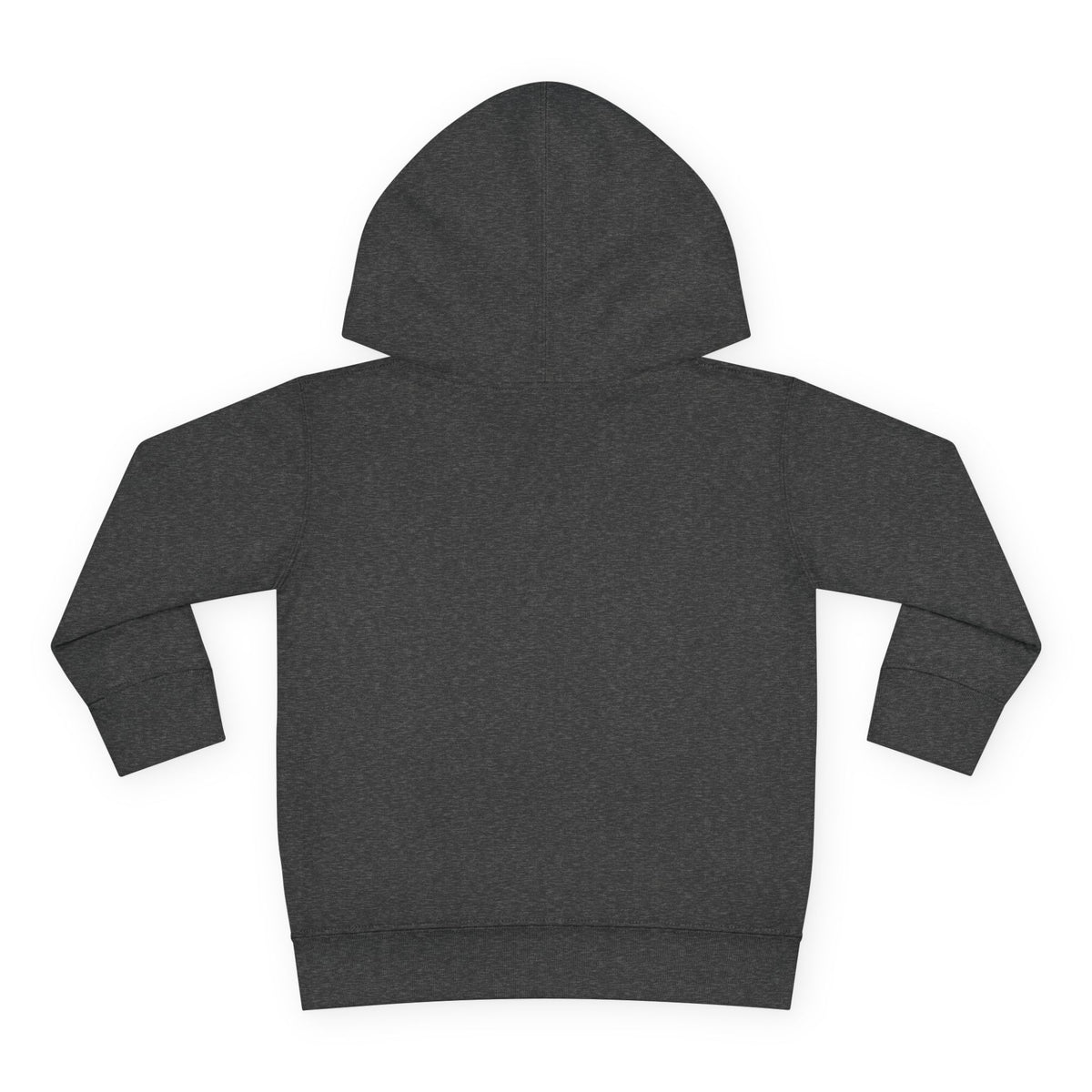 Youth Toddler Pullover Retro Lion Hoodie